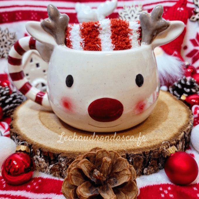 Tasse de Noël + chaussettes pilous