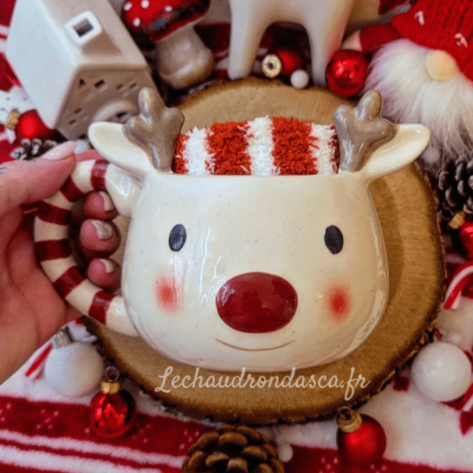 Tasse de Noël + chaussettes pilous